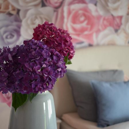 Apartment Rose Sasbachwalden Exteriér fotografie
